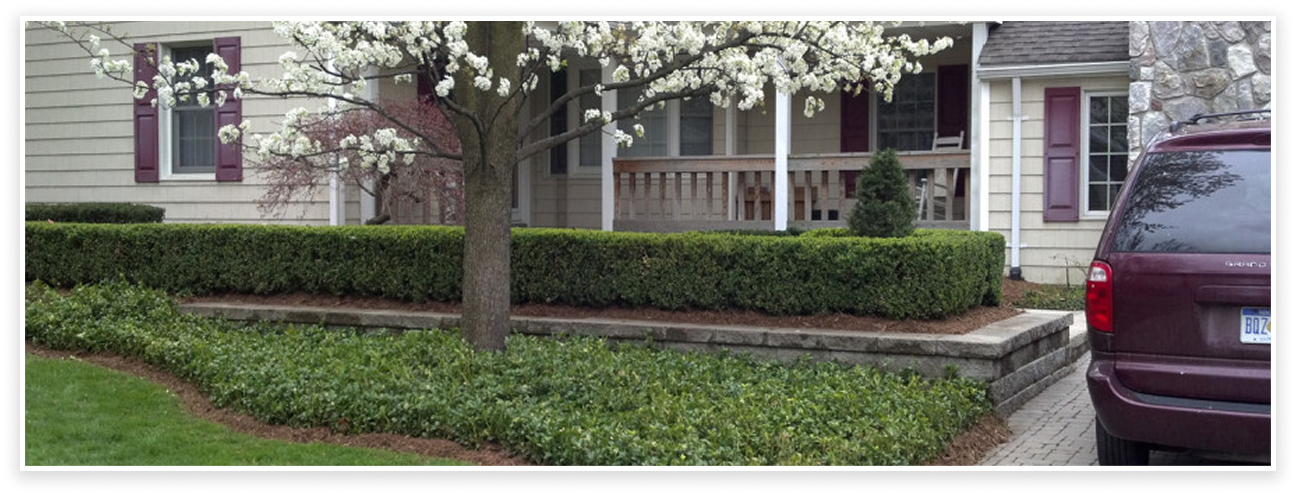Suburban home with flowering tree