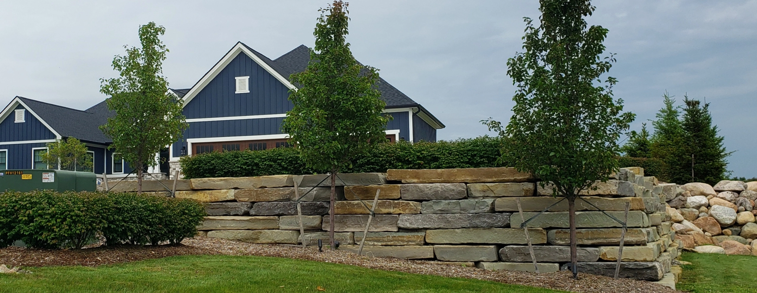 Suburban home with tree